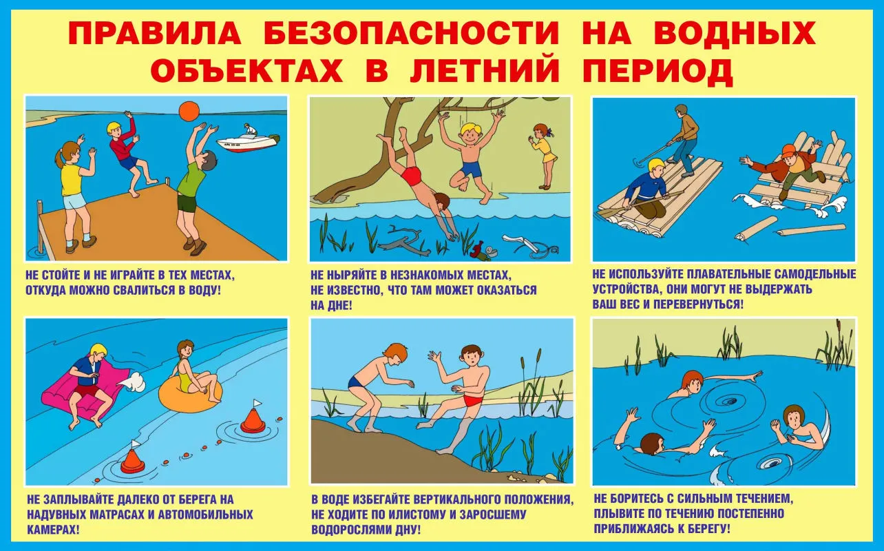 img.273950.jpg