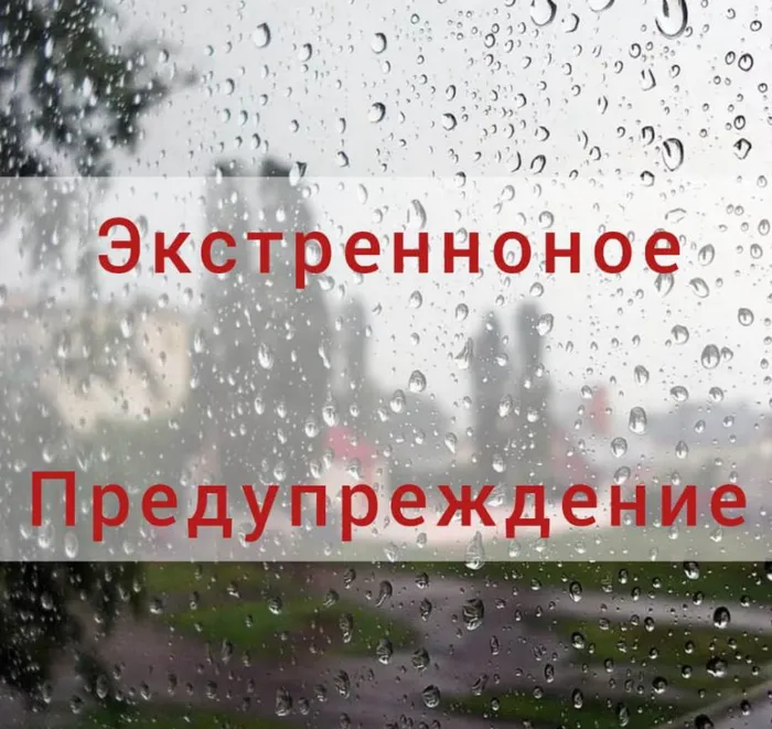 дждлранр по.jpg
